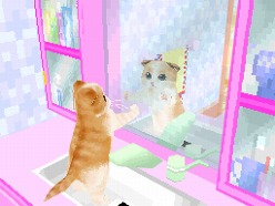 画像ギャラリー No.010のサムネイル画像 / 2匹の猫ちゃん達の仕草がキュートすぎ。「かわいい子猫DS3」の公式サイトが正式オープン