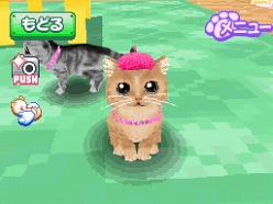 画像ギャラリー No.015のサムネイル画像 / 2匹の猫ちゃん達の仕草がキュートすぎ。「かわいい子猫DS3」の公式サイトが正式オープン