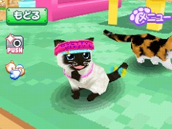 画像ギャラリー No.016のサムネイル画像 / 2匹の猫ちゃん達の仕草がキュートすぎ。「かわいい子猫DS3」の公式サイトが正式オープン