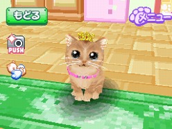 2匹の猫ちゃん達の仕草がキュートすぎ かわいい子猫ds3 の公式サイトが正式オープン