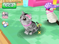 画像ギャラリー No.018のサムネイル画像 / 2匹の猫ちゃん達の仕草がキュートすぎ。「かわいい子猫DS3」の公式サイトが正式オープン