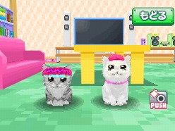 画像ギャラリー No.019のサムネイル画像 / 2匹の猫ちゃん達の仕草がキュートすぎ。「かわいい子猫DS3」の公式サイトが正式オープン