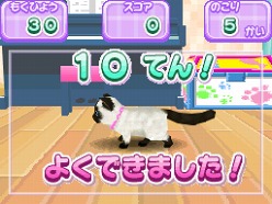 画像ギャラリー No.020のサムネイル画像 / 2匹の猫ちゃん達の仕草がキュートすぎ。「かわいい子猫DS3」の公式サイトが正式オープン