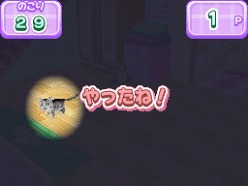 画像ギャラリー No.023のサムネイル画像 / 2匹の猫ちゃん達の仕草がキュートすぎ。「かわいい子猫DS3」の公式サイトが正式オープン