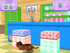 画像ギャラリー No.025のサムネイル画像 / 2匹の猫ちゃん達の仕草がキュートすぎ。「かわいい子猫DS3」の公式サイトが正式オープン