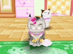 画像ギャラリー No.028のサムネイル画像 / 2匹の猫ちゃん達の仕草がキュートすぎ。「かわいい子猫DS3」の公式サイトが正式オープン