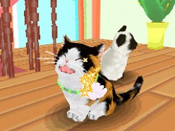 画像ギャラリー No.029のサムネイル画像 / 2匹の猫ちゃん達の仕草がキュートすぎ。「かわいい子猫DS3」の公式サイトが正式オープン