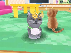 画像ギャラリー No.030のサムネイル画像 / 2匹の猫ちゃん達の仕草がキュートすぎ。「かわいい子猫DS3」の公式サイトが正式オープン