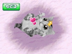 画像ギャラリー No.031のサムネイル画像 / 2匹の猫ちゃん達の仕草がキュートすぎ。「かわいい子猫DS3」の公式サイトが正式オープン