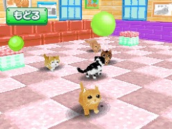 画像ギャラリー No.032のサムネイル画像 / 2匹の猫ちゃん達の仕草がキュートすぎ。「かわいい子猫DS3」の公式サイトが正式オープン