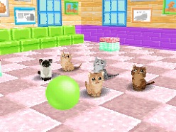 画像ギャラリー No.033のサムネイル画像 / 2匹の猫ちゃん達の仕草がキュートすぎ。「かわいい子猫DS3」の公式サイトが正式オープン