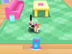 画像ギャラリー No.039のサムネイル画像 / 2匹の猫ちゃん達の仕草がキュートすぎ。「かわいい子猫DS3」の公式サイトが正式オープン