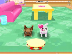 画像ギャラリー No.041のサムネイル画像 / 2匹の猫ちゃん達の仕草がキュートすぎ。「かわいい子猫DS3」の公式サイトが正式オープン