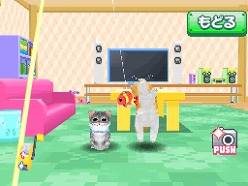 画像ギャラリー No.042のサムネイル画像 / 2匹の猫ちゃん達の仕草がキュートすぎ。「かわいい子猫DS3」の公式サイトが正式オープン