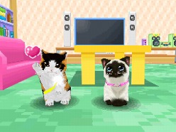 画像ギャラリー No.044のサムネイル画像 / 2匹の猫ちゃん達の仕草がキュートすぎ。「かわいい子猫DS3」の公式サイトが正式オープン