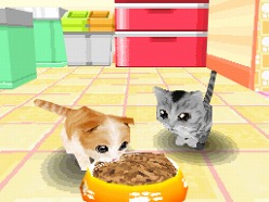 画像ギャラリー No.045のサムネイル画像 / 2匹の猫ちゃん達の仕草がキュートすぎ。「かわいい子猫DS3」の公式サイトが正式オープン