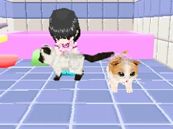 画像ギャラリー No.046のサムネイル画像 / 2匹の猫ちゃん達の仕草がキュートすぎ。「かわいい子猫DS3」の公式サイトが正式オープン