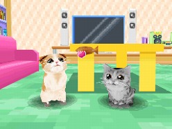 画像ギャラリー No.047のサムネイル画像 / 2匹の猫ちゃん達の仕草がキュートすぎ。「かわいい子猫DS3」の公式サイトが正式オープン