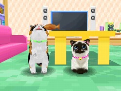 画像ギャラリー No.048のサムネイル画像 / 2匹の猫ちゃん達の仕草がキュートすぎ。「かわいい子猫DS3」の公式サイトが正式オープン