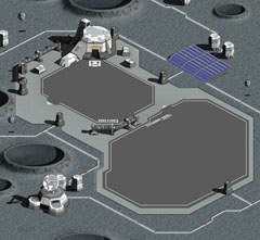 ꡼ No.019 | ϥץ쥤ǡȺ١ɤΥܷĤˡ֥饦֥ߥåޥץץ¥ƥԥݡ