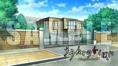 ꡼ No.017 | PS3֤ߤͤסơޡطʥȥ쥯0506פۿ