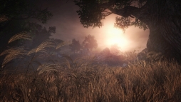 ���������꡼ No.016�Υ���ͥ������ / �ֿβ��פΦ��θ��Ǥ������ۿ������Ϥ�Ũ���и�����ְ��⤬���פ䡤�ۤ��Υץ쥤�䡼��ĩ��־���Ʊ�ԡפʤɤο����Ǥ��θ��Ǥ���