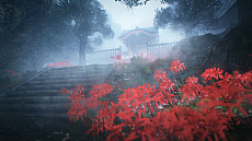 ���������꡼ No.002�Υ���ͥ������ / �ֿβ��ס���߲֤��餭���������ɤ�Ǧ�Բ��ߡȰ˲�ɤξ��󤬸��������ξ�б������Ⱥ����ɤ�