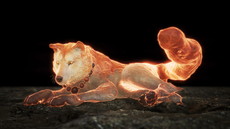 ꡼ No.001 | ֿβסꥢƤʤɤξ󤬸饤ǤƱCo-opڤ