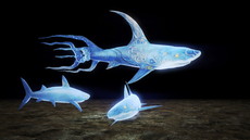 ꡼ No.003 | ֿβסꥢƤʤɤξ󤬸饤ǤƱCo-opڤ