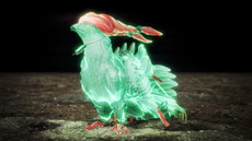 ꡼ No.005 | ֿβסꥢƤʤɤξ󤬸饤ǤƱCo-opڤ