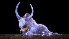 ꡼ No.007 | ֿβסꥢƤʤɤξ󤬸饤ǤƱCo-opڤ