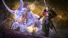 ꡼ No.008 | ֿβסꥢƤʤɤξ󤬸饤ǤƱCo-opڤ