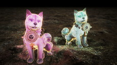 ꡼ No.009 | ֿβסꥢƤʤɤξ󤬸饤ǤƱCo-opڤ