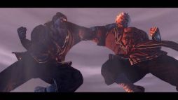 ꡼ No.010 | ASURA'S WRATHDLC3ơáزԡ١פۿ