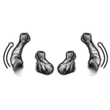 ���������꡼ No.011�Υ���ͥ������ / �δ�����ۥ顼��Xbox 360 Kinect���ѥ����ȥ��Rise of Nightmares�פ�ľ��Ū�������ˡ�����餫��