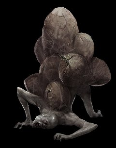 ꡼ No.024 | ץ饤ɤ˷ƻǤ餤ޤDARK SOULSפˤϡDemon's SoulsפκѤƤΤܺǥ쥯ʹƤ