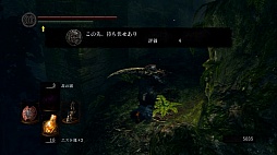 画像ギャラリー No.003のサムネイル画像 / これが究極の“心折設計”だ。アップデートを重ね本来の魅力が味わえるようになった「DARK SOULS」について,今こそ語ろう