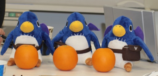 ꡼ No.009Υͥ / Webեȥࡦ֥쥤֡ץޥ˥ܰ쥽եȥΥåդʹȯá饤ؤռĤġʥե󤬳ڤ֤ߡǤ