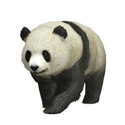 ꡼ No.021 | ꡼鿴Ԥĩ路ƤߤֿԢ̵6ץץ쥤ݡȤǺܡ꡼ʤ̤ץ쥤οͤˤ⥪Υ󥲡