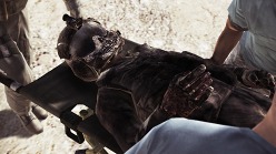 ���������꡼ No.039�Υ���ͥ������ / ��ACE COMBAT ASSAULT HORIZON�ס�E3�Ǥ�̤�����κǿ������꡼�󥷥�åȤ�Ǻܡ������Υץ쥤�ե�����ϰ���Ū���������ߤˤ�ä����߽Ф����