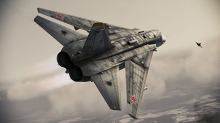 ���������꡼ No.017�Υ���ͥ������ / ��ACE COMBAT ASSAULT HORIZON�ס�����������Ʈ��������2�Ƥ������ˡ�������ʤΥ�������Ʊ�����顼�ε��Τ��о�