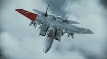 ���������꡼ No.046�Υ���ͥ������ / ��ACE COMBAT ASSAULT HORIZON�ס�����������Ʈ��������2�Ƥ������ˡ�������ʤΥ�������Ʊ�����顼�ε��Τ��о�