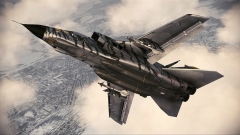 ���������꡼ No.040�Υ���ͥ������ / ��ACE COMBAT AH�ס�DLC��4�Ƥ��о졣F-15S/MTD�ʤɤο����Τ��ɲ�