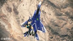 ���������꡼ No.001�Υ���ͥ������ / ��ACE COMBAT ASSAULT HORIZON�׿�DLC�ˡȥ����ޥ��ɥ���ܵ����о�