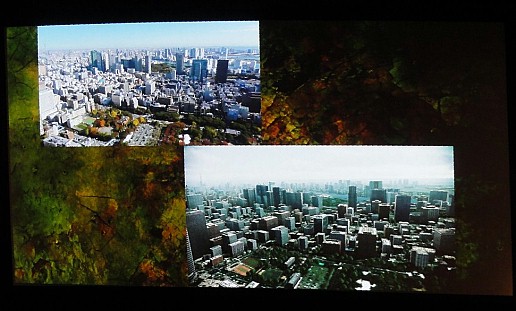 ꡼ No.003 | ϿޥǡȤ˼ºԻԤư֥Хåȥȡۥ饤פΥꥢԻԤϤƺ줿