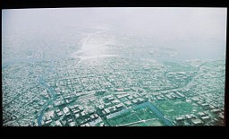 ꡼ No.007 | ϿޥǡȤ˼ºԻԤư֥Хåȥȡۥ饤פΥꥢԻԤϤƺ줿