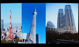 ꡼ No.016 | ϿޥǡȤ˼ºԻԤư֥Хåȥȡۥ饤פΥꥢԻԤϤƺ줿