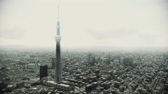 ꡼ No.004 | ACE COMBAT AHסDLC6Ƥо졣ɲåޥåסס֥ۥΥפʤ