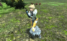 ꡼ No.135 | PR֥ۡե󥿥饤2פιΩĿͤΤΥץ쥤ɤϤ71󥢥åץǡȤǼ뿷ե/ͥߡˤ