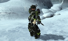 ꡼ No.156 | PR֥ۡե󥿥饤2פιΩĿͤΤΥץ쥤ɤϤ71󥢥åץǡȤǼ뿷ե/ͥߡˤ